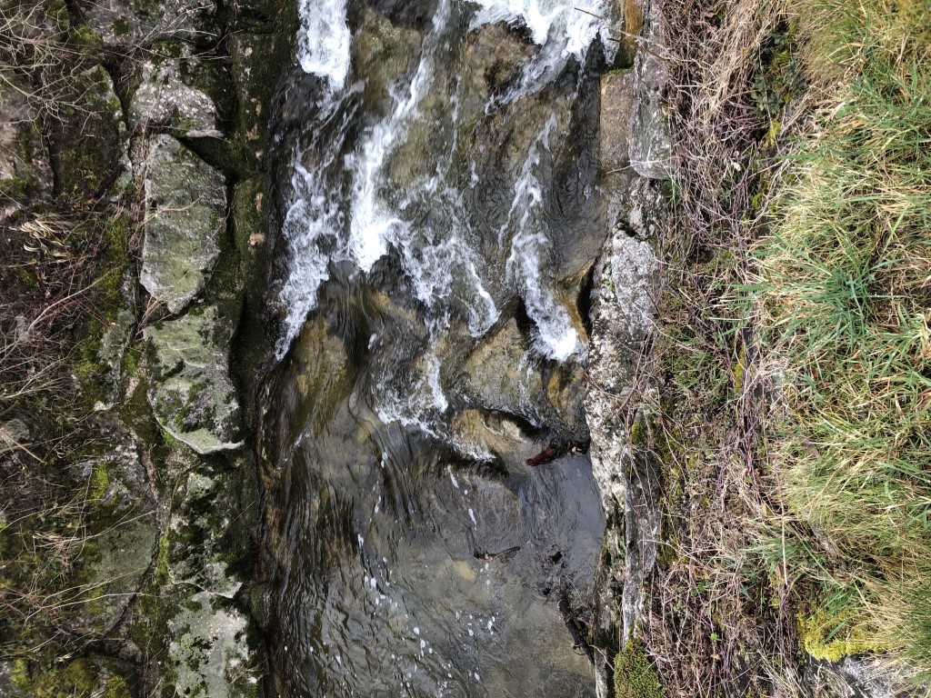 Abschnitt 9